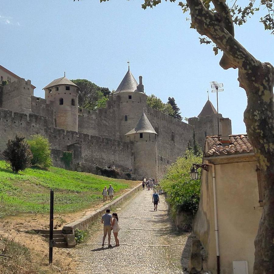 Confort ! Climatisation, Calme, Piscine, Parking Gratuit, Terrasse, Wifi Carcassonne